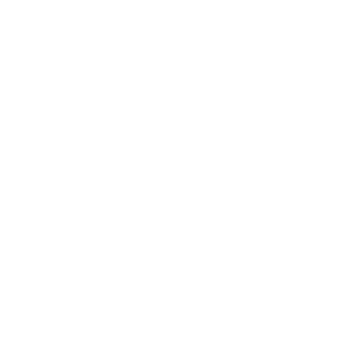 mental health icon